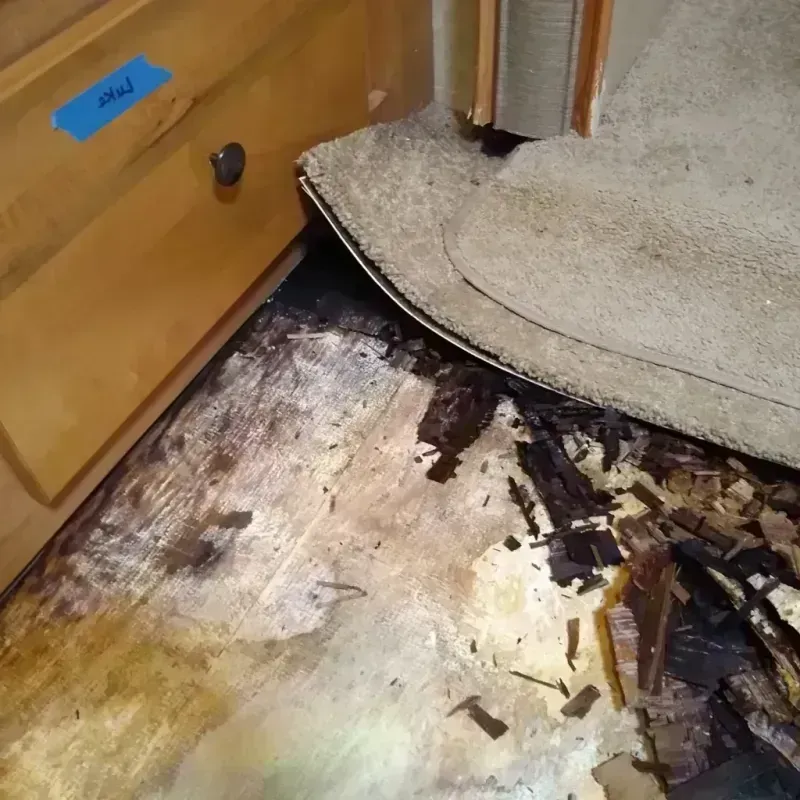 Wood Floor Water Damage in Pompano Beach, FL